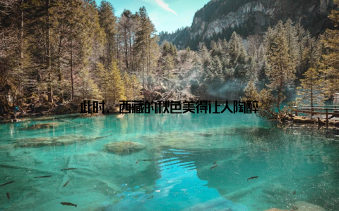 此时, 西藏的秋色美得让人陶醉