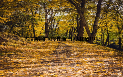 古道两旁的风景如画, 让人陶醉其中