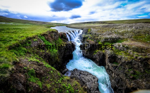 3举办特色活动, 吸引游客关注