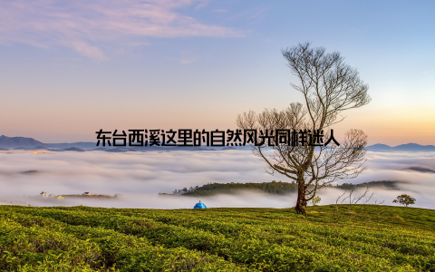 东台西溪这里的自然风光同样迷人